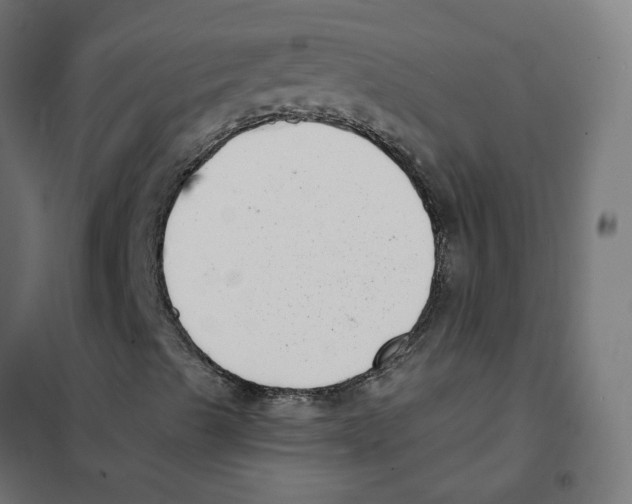 X0000101701489200808071145