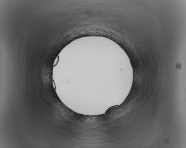 X0000101701490200808071145