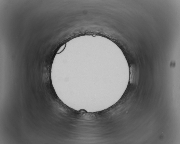 X0000101701491200808071145