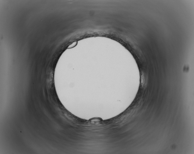X0000101701492200808071145