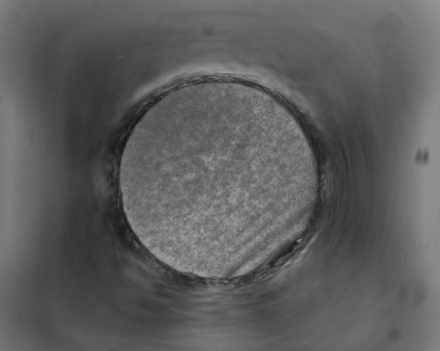 X0000101701494200808071145