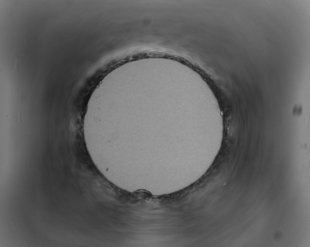X0000101701495200808071145
