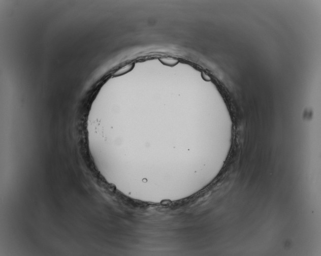 X0000101701496200808071145