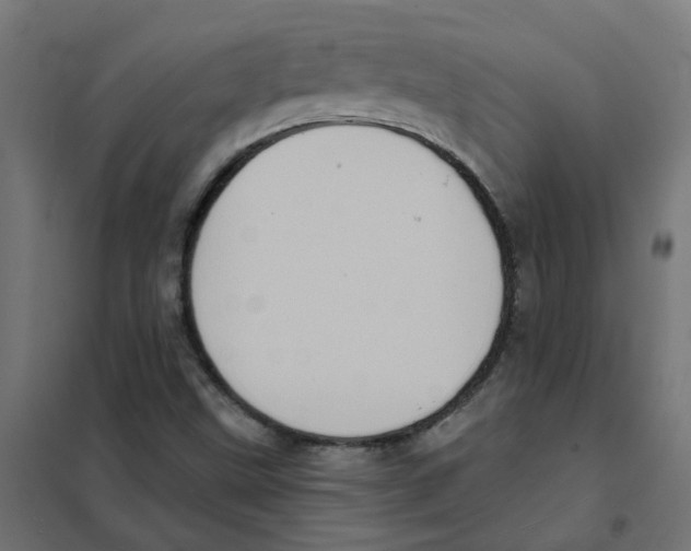 X0000101701499200808071145
