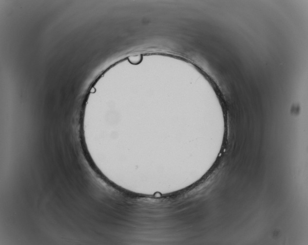 X0000101701500200808071145