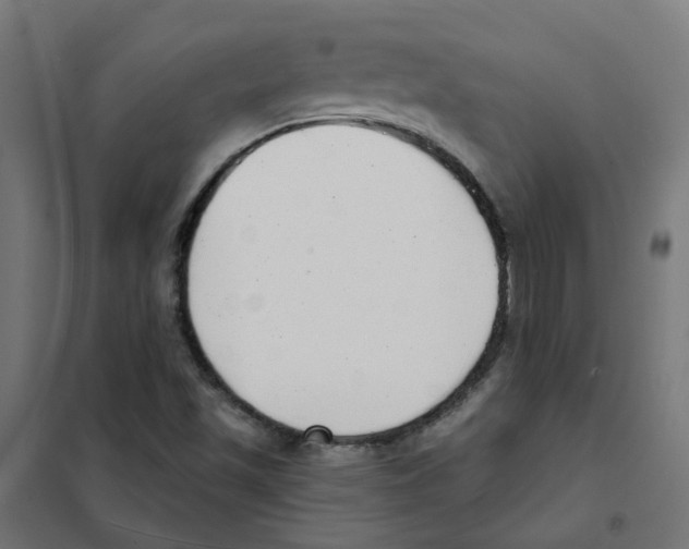 X0000101701501200808071146