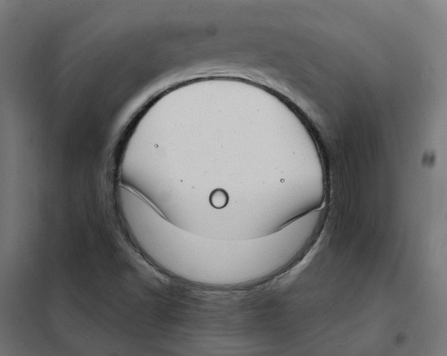 X0000101701502200808071146