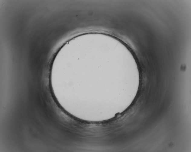 X0000101701504200808071146