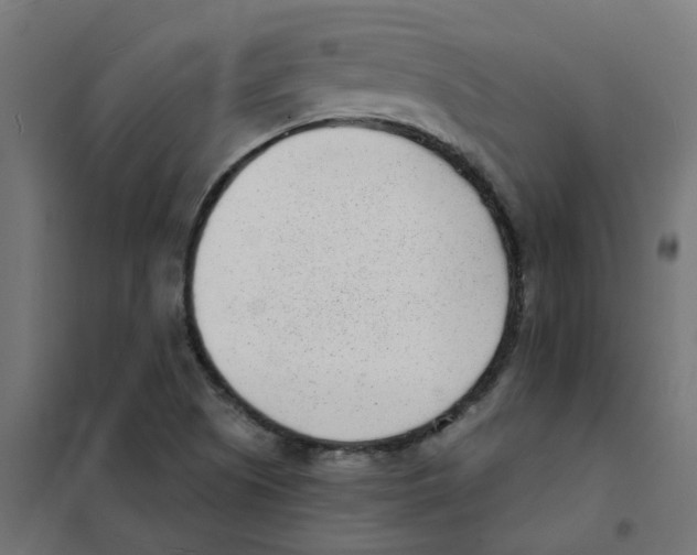 X0000101701505200808071146