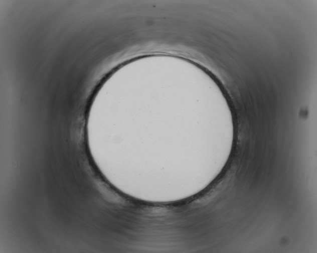 X0000101701507200808071146