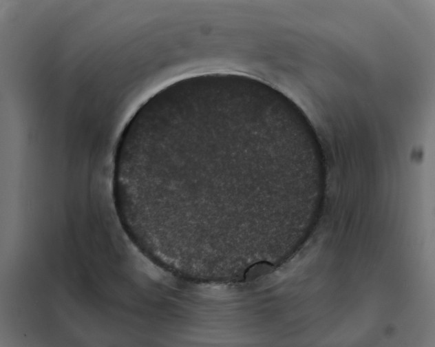 X0000101701508200808071146