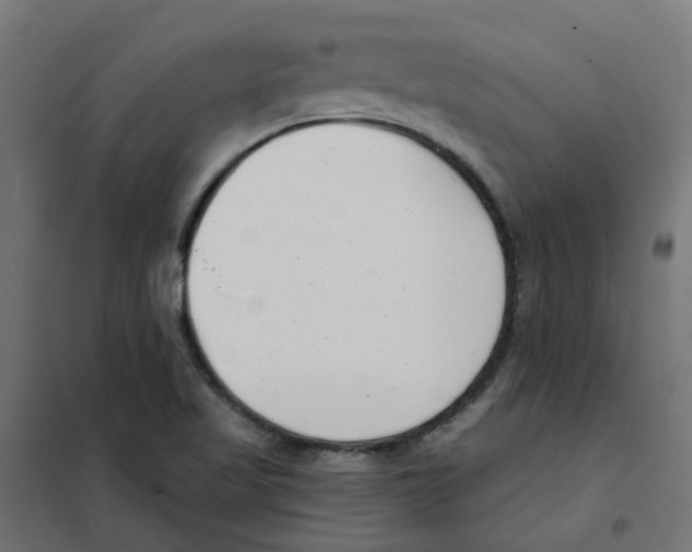 X0000101701509200808071146