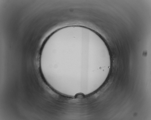 X0000101701510200808071146