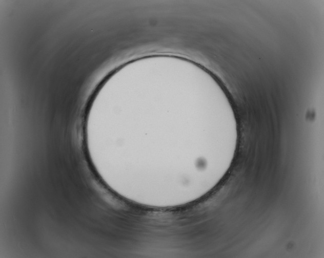 X0000101701511200808071146