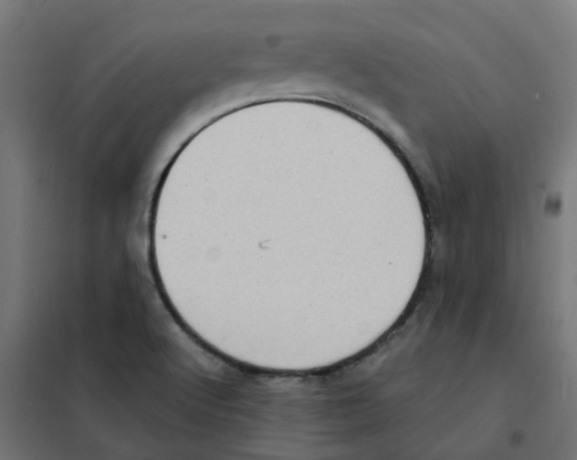 X0000101701512200808071146