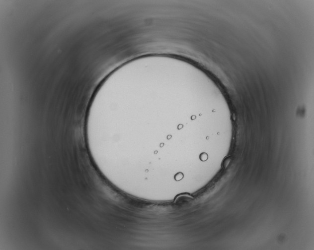 X0000101701513200808071146