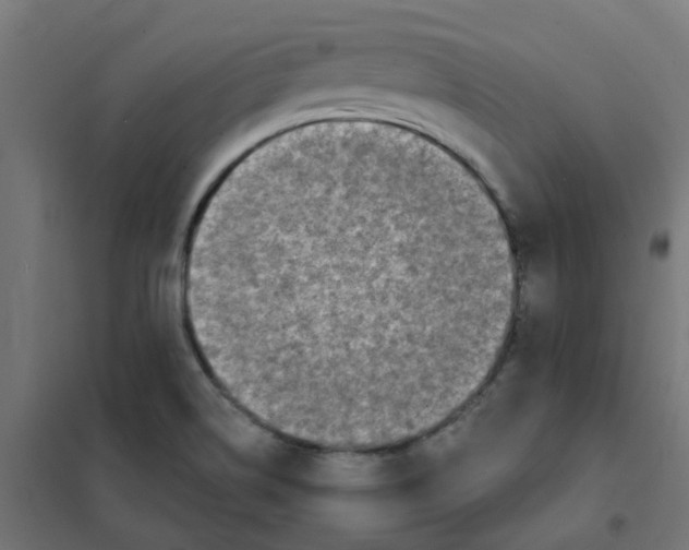 X0000101701514200808071146