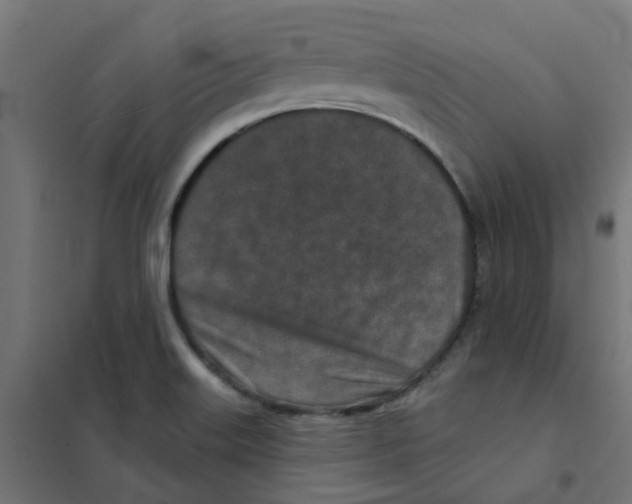 X0000101701515200808071146