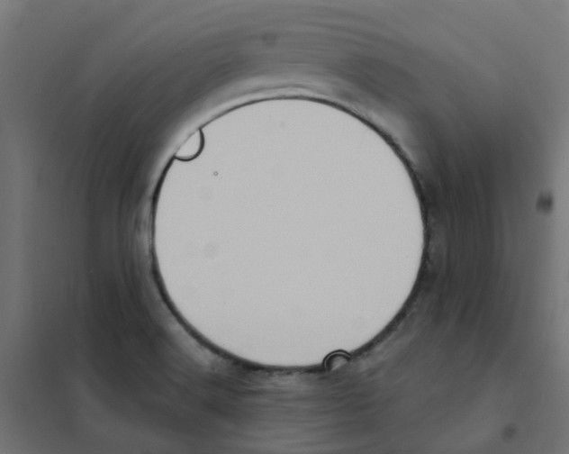 X0000101701516200808071146