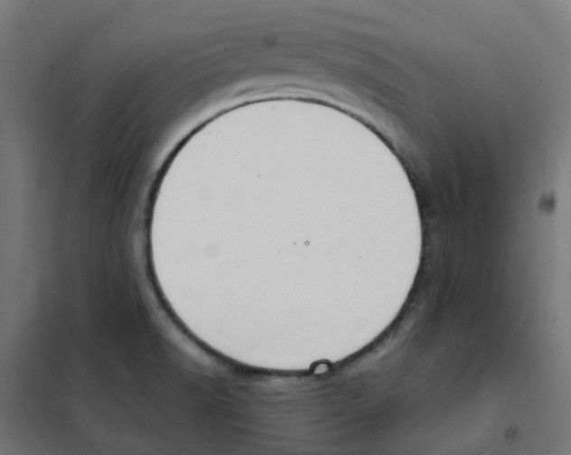 X0000101701518200808071146