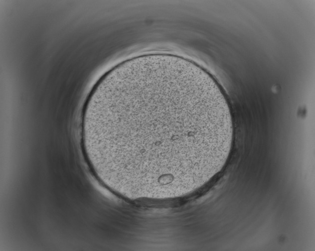 X0000101701519200808071146