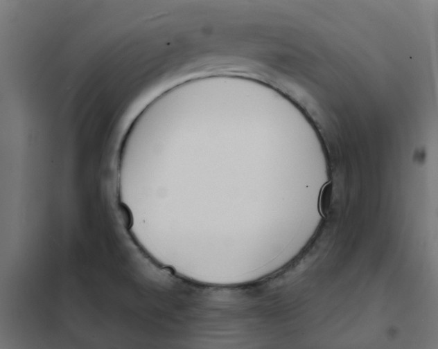 X0000101701520200808071146
