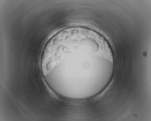 X0000101701521200808071146