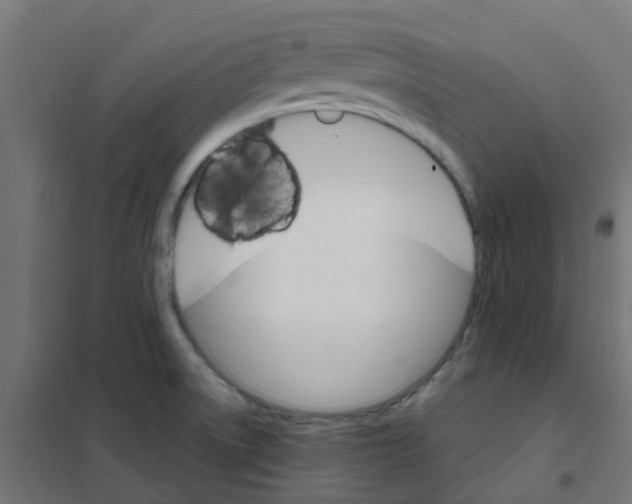 X0000101701522200808071146