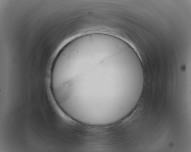 X0000101701523200808071146