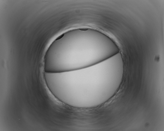 X0000101701524200808071146