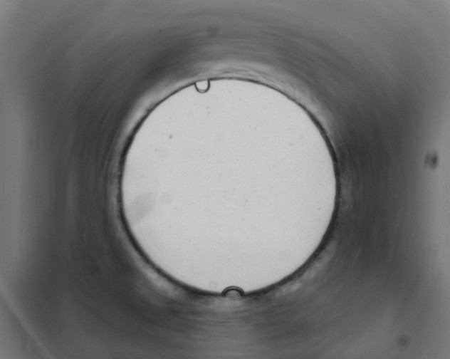 X0000101701525200808071146