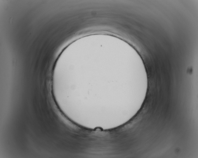 X0000101701526200808071146