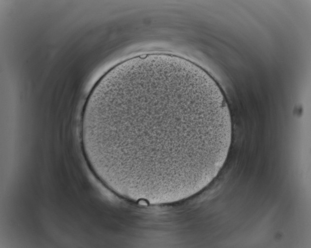 X0000101701527200808071146
