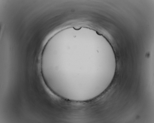 X0000101701528200808071146
