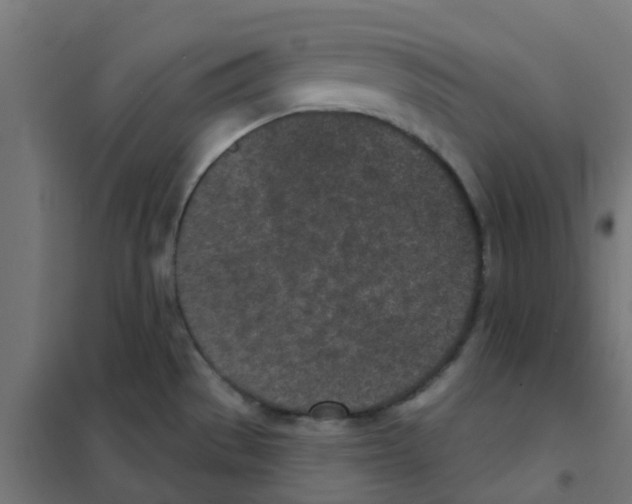 X0000101701529200808071146