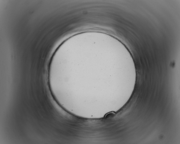 X0000101701531200808071146