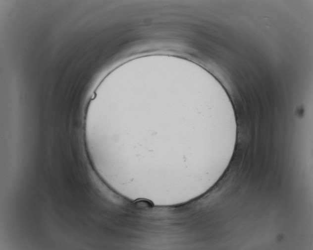 X0000101701532200808071146