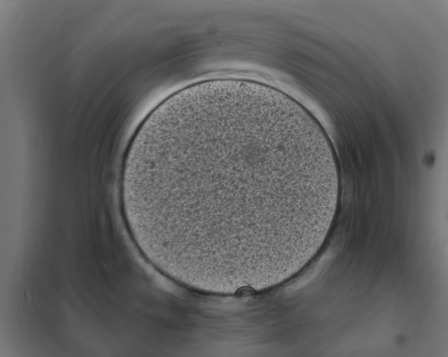 X0000101701533200808071146