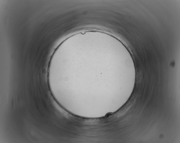 X0000101701535200808071146