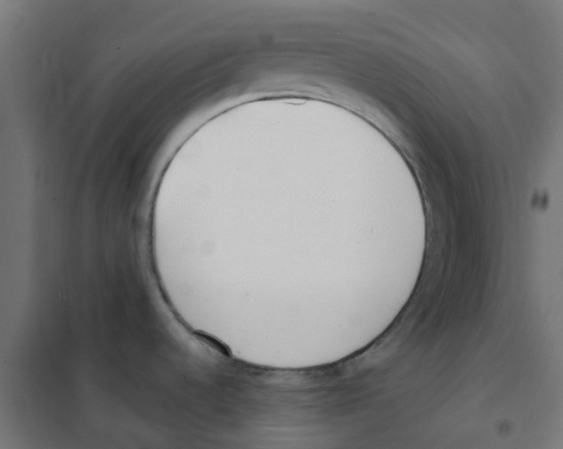 X0000101701536200808071146