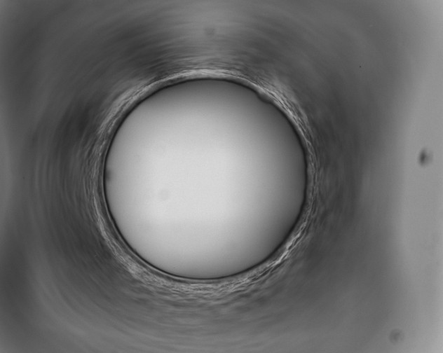 X0000101710001200807101419