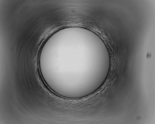 X0000101710002200807101419