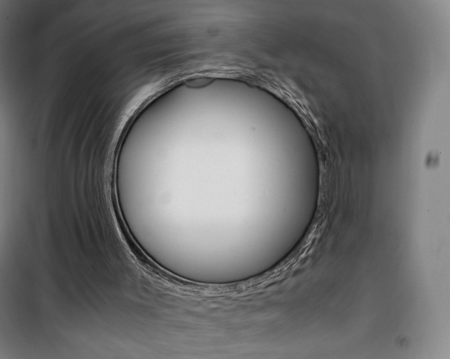 X0000101710003200807101419