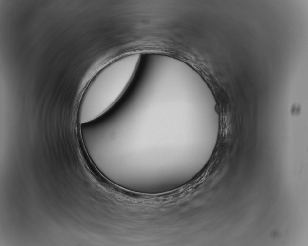 X0000101710004200807101419