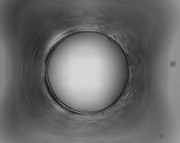 X0000101710005200807101419