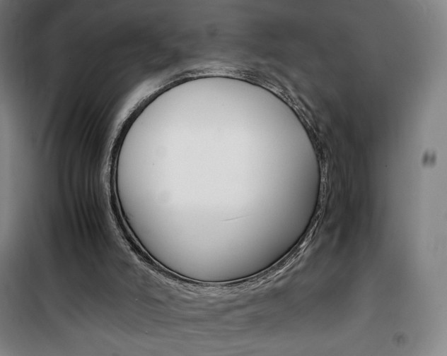 X0000101710006200807101419