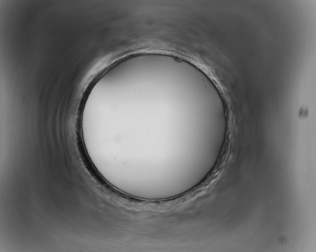 X0000101710007200807101419