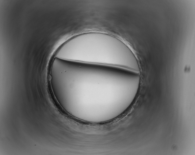 X0000101710008200807101419