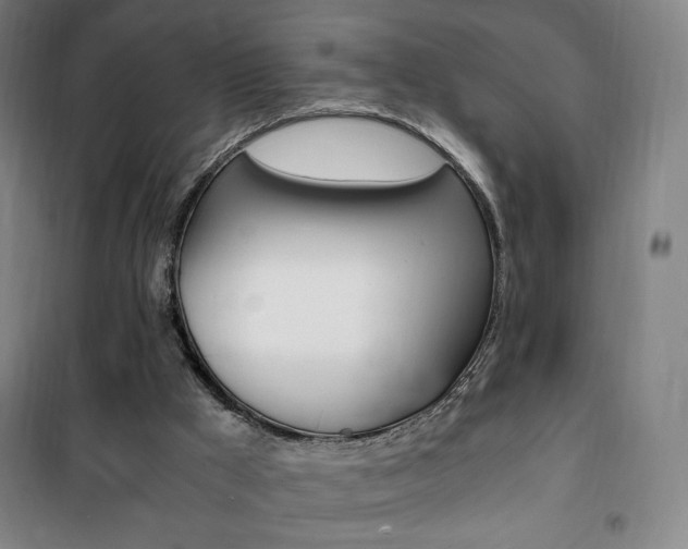 X0000101710009200807101419