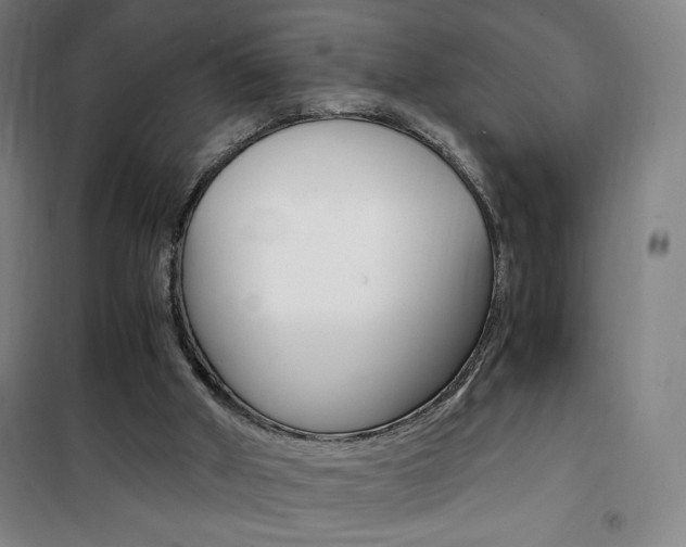 X0000101710010200807101419